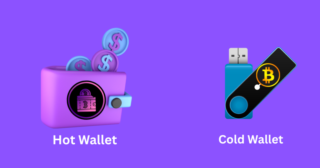 crypto hot wallet and cold wallet.